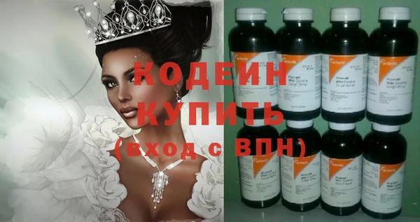 шишки Слюдянка