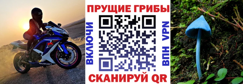 что такое наркотик KRAKEN как зайти Галлюциногенные грибы ЛСД Наволоки